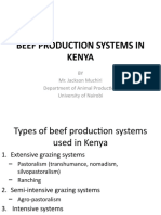Beef Production Systems in Kenya 14th October, 2022