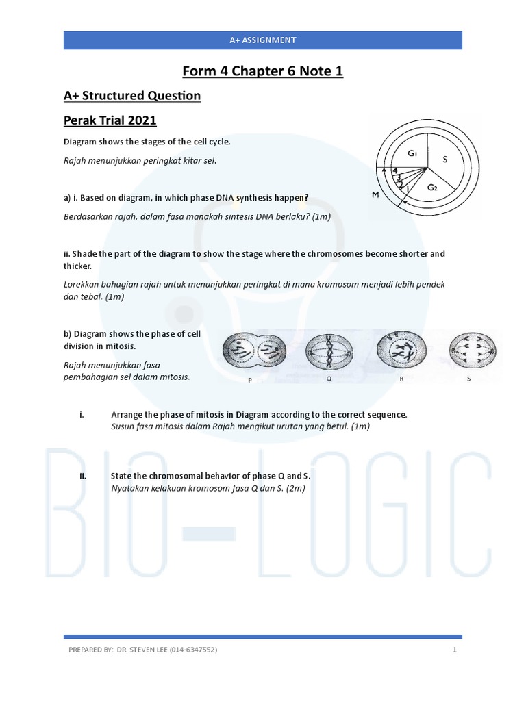 F4 CHAP6 Assignment | PDF