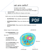 The CELL (Completo) ( - Study Notes)