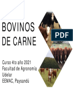 CLASE 1 - Presentacion Del Curso de Bovinos de Carne 2021 (Modo de Compatibilidad)