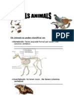 Animals Vertebrats.. Mamífers. Material Adaptat