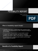 Feasibility Report