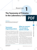 The Taxonomy of Primates in The Laboratory Context