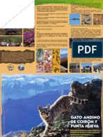 Triptico Gato Andino