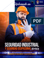 Seguridad Industrial y Seguridad Ocupacional (Syso)