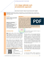 Management of a Large Radicular Cyst a Non-surgica