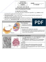 Fate of Synthesized Proteins: 11 Grade " "