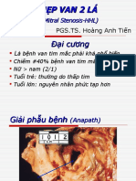 Y3 - HẸP VAN 2 LÁ - PGS.TS Hoàng Anh Tiến - 2015