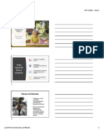EBR - PDF Notas