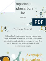 Proiect Hidrocarburi