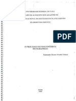 O Processo Socioeconomico No Maranhão - Compressed