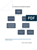 Peña-Winifer-Lobulos y Hemisferios Cerebrales