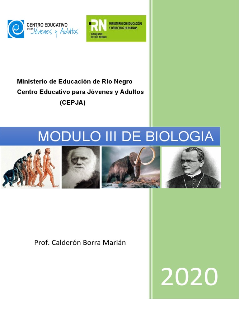 Modulo 3 de Biologia 2021 | PDF