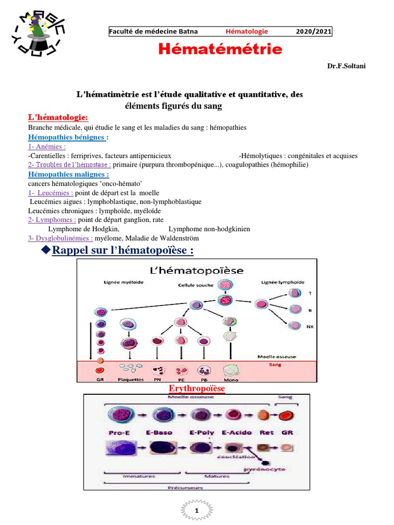 Analyse de l'Hématimétrie Sanguine | PDF | Globule blanc | Globule rouge