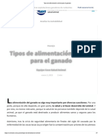 Articulo Tipos de Alimentacion Animal para El Ganado