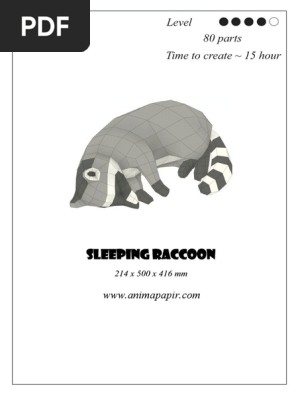 Diy Sleeping Raccoon
