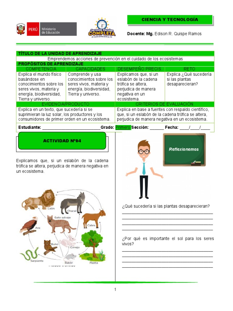 Actividad 4 | PDF