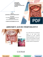 Abdomen Perforativo