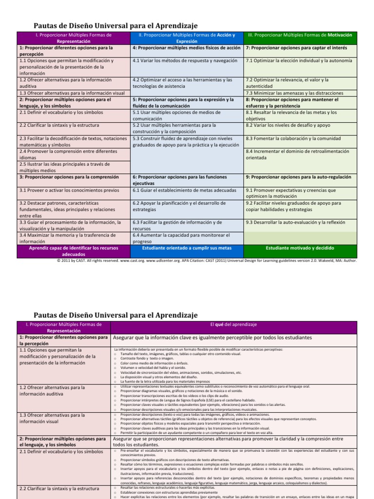 Pautas DUA para el Aprendizaje Efectivo | PDF | Aprendizaje | Evaluación