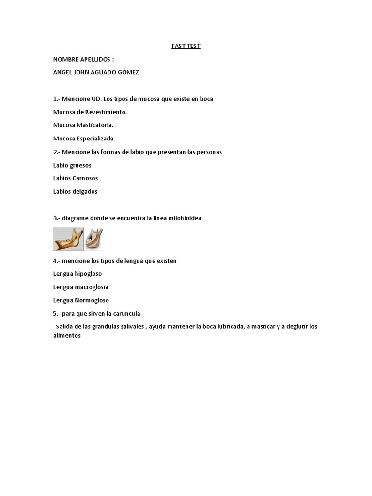 Fast test anatomia pdf