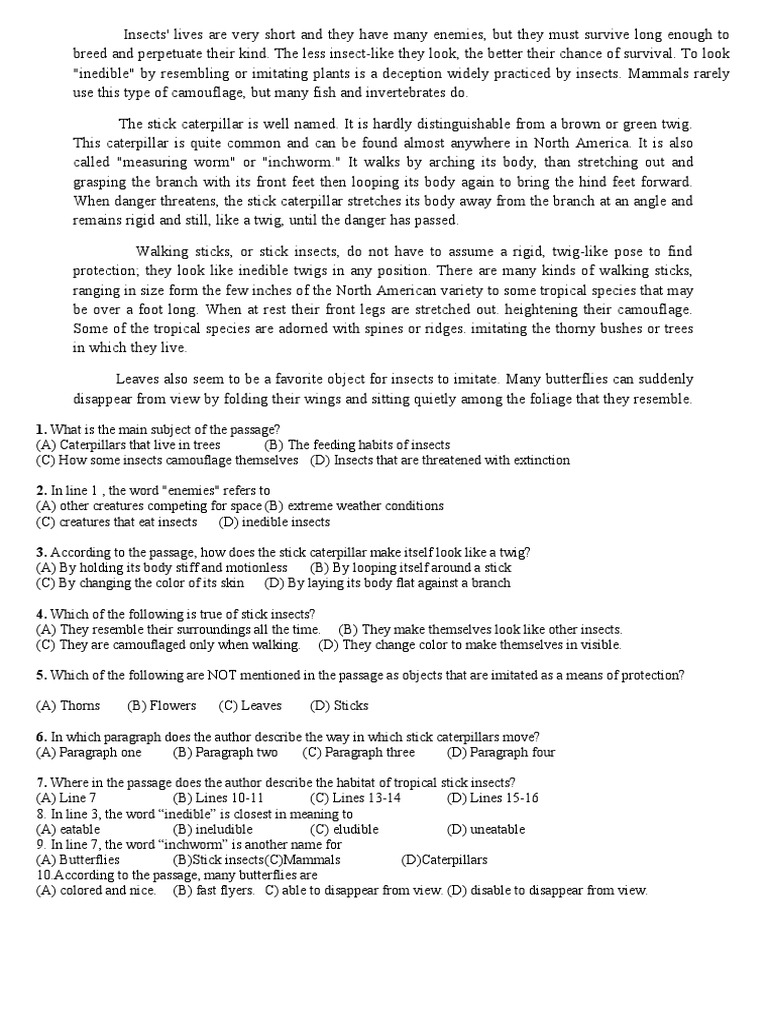 Reading comp exercise insects 10 pts rezagados pdf