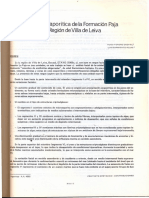 Forero, H., Sarmiento, L., 1985, La Facies Evaporítica de La Formación Paja.