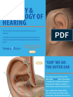 VB Anatomy of Hearing 061119