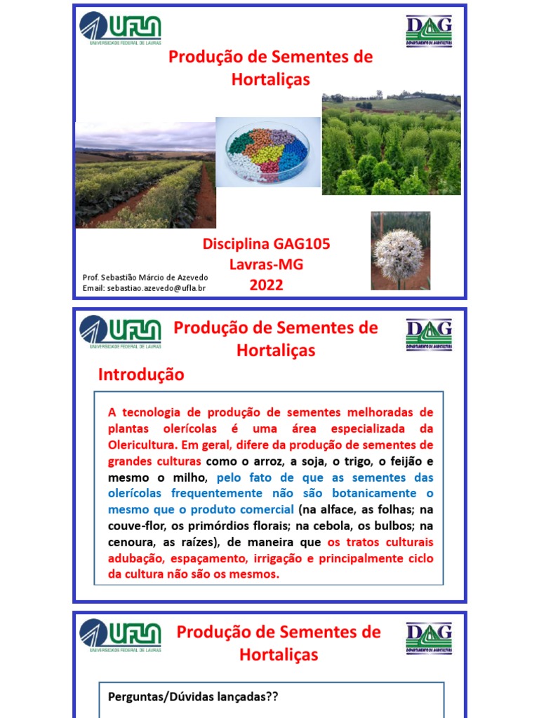 Produção de Sementes de Hortaliças | PDF | Legumes | Agricultura