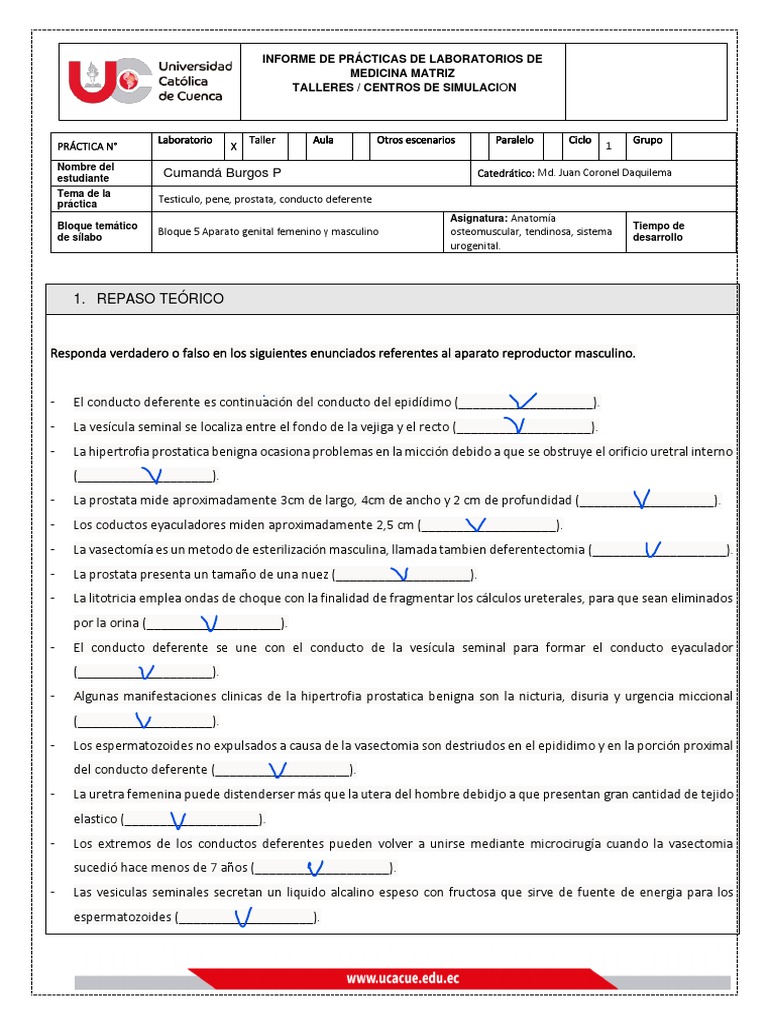INFORME 9 ANATOMÍA Got | PDF