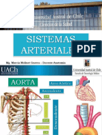Sistemas Arteriales