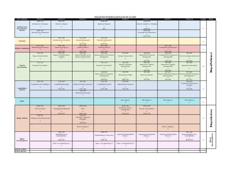 Copia de 20200310 Plan Ideal NEI 2025 PDF