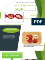Alimentos Transgénicos (AGM)