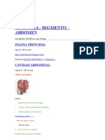 Anatomia Abdomen