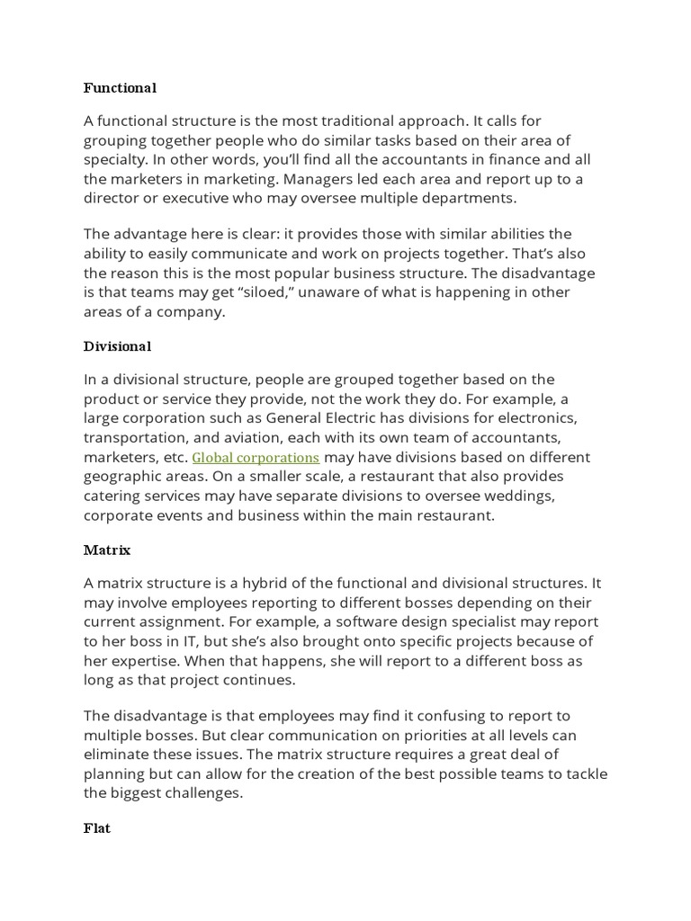 Organizational Structure_white paper (1) PDF Organizational