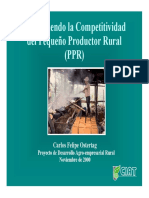 Promoviendo La Competitividad Del PPR