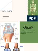 Presentación Artrosis