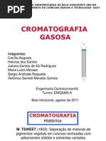Cromatografia Gasosa