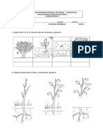 Prueba Ciencias Naturales LAS PLANTAS