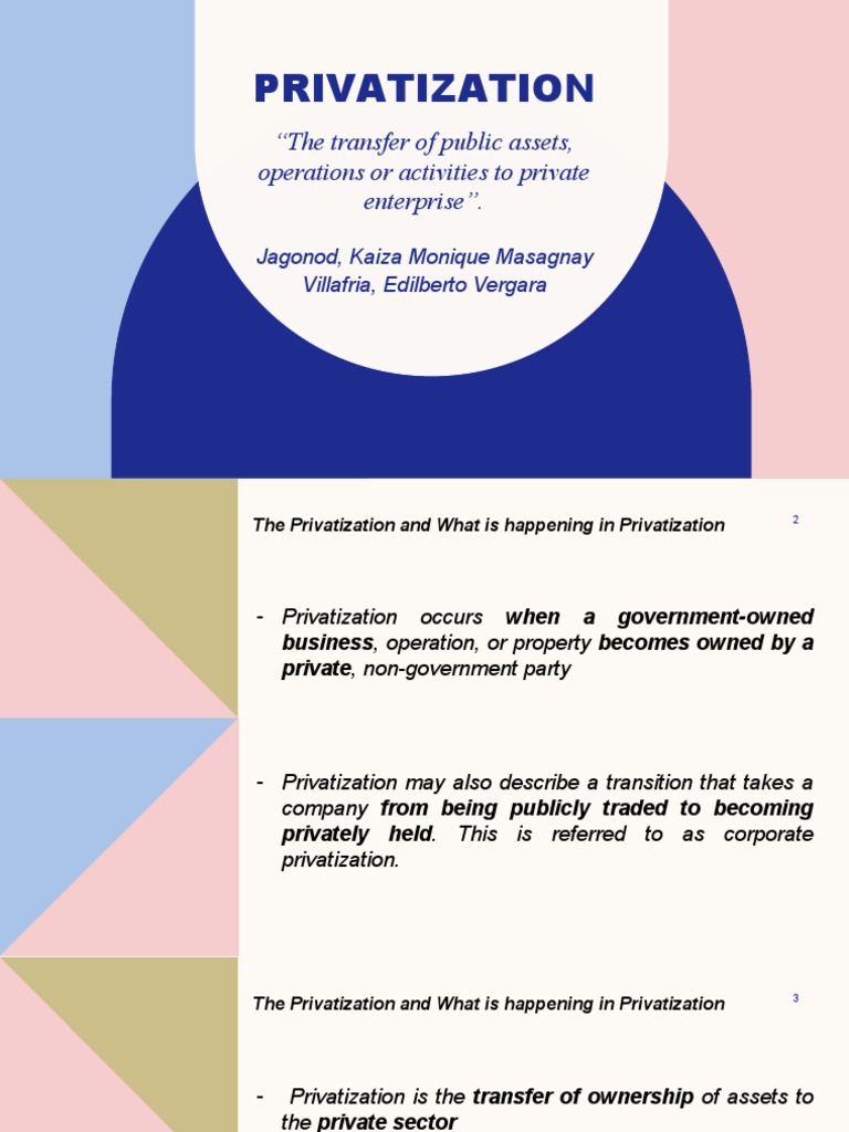 PRIVATIZATION | PDF