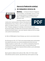 Que Es La Federación Sindical de Trabajadore Mineros de Bolivia