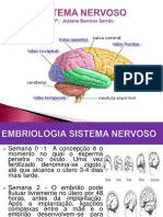 Anatomia SNC