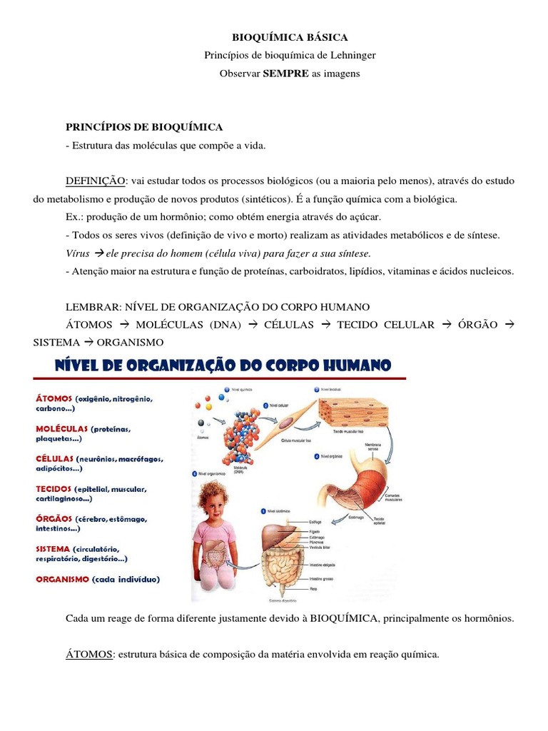 Bioquímica Básica Pdf