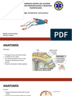 Sindrome Convulsivo (Autoguardado)