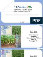 Evolução Soja - Relatório Semanal - Faz. Leonardo-4