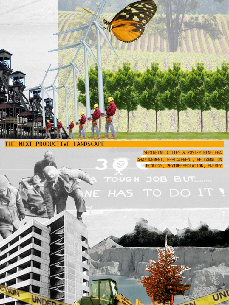 Productive Landscapes: Reclamation Strategies | PDF