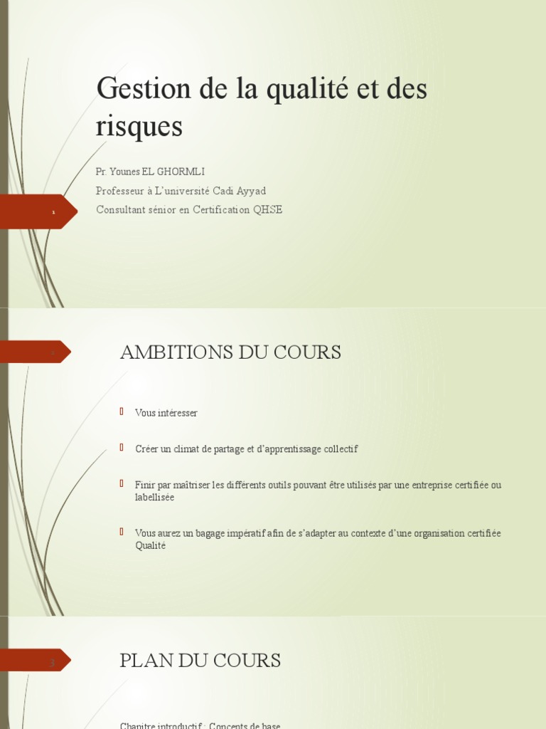 Gestion de la qualité et des risques en entreprise | PDF