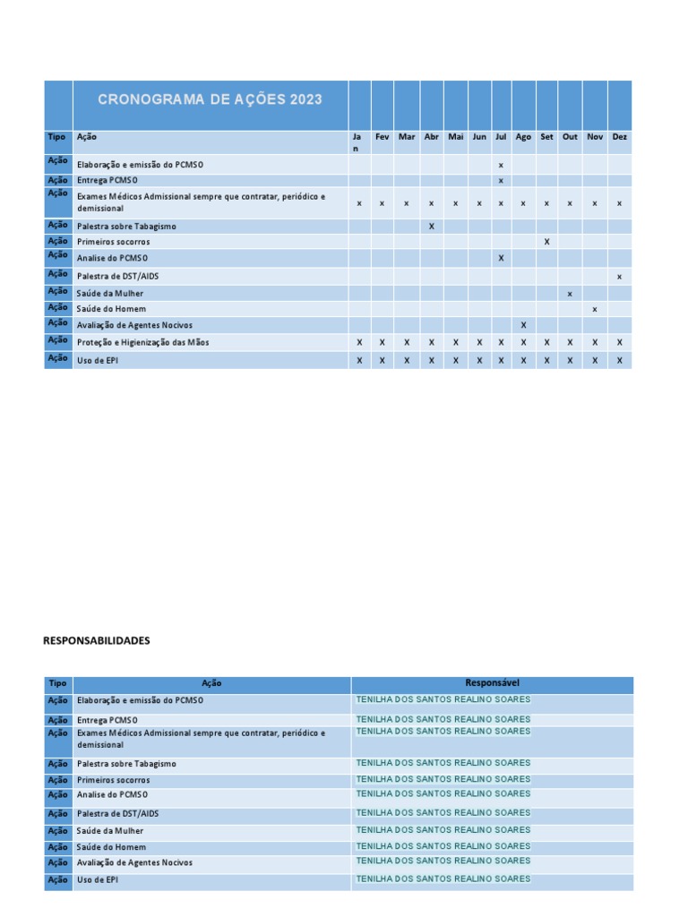 Plano de Ação para Pcmso Da Multiplus | PDF