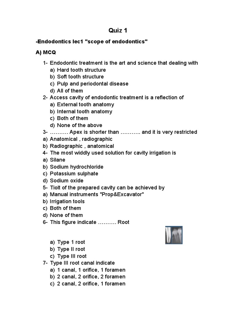 Quiz 1 PDF Dentistry Tooth