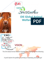 13 - AW - Global - Animal - Welfare - Strategy - SG - MAY2017 - Final - Copie