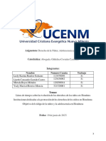 Trabajo Investigativo - Derecho Niñez, Adolescencia y Mujer